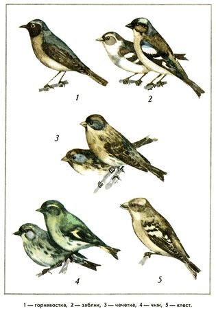 Юрий Дмитриев - Путешествие на всю жизнь