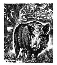 Вячеслав Ладогин - Спички