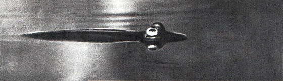 Игорь Акимушкин - Мир животных. Рассказы о змеях, крокодилах, черепахах,...