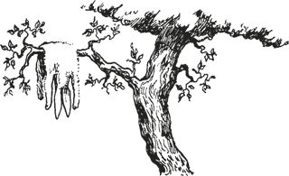 Павел Пепперштейн, Сергей Ануфриев - Мифогенная любовь каст