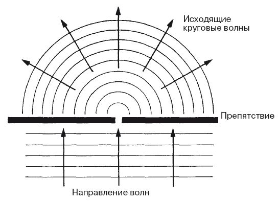 Джон Гриббин - В поисках кота Шредингера. Квантовая физика и реальность