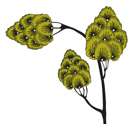 Андрей Рогач (Анро) - 21 стакан. Истории Йогеша, записанные Анро