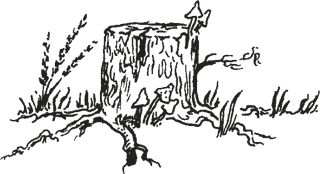 Павел Пепперштейн, Сергей Ануфриев - Мифогенная любовь каст