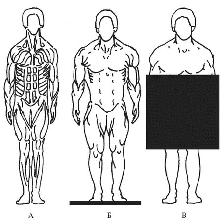 Леонид Дворкин - Подготовка юного тяжелоатлета