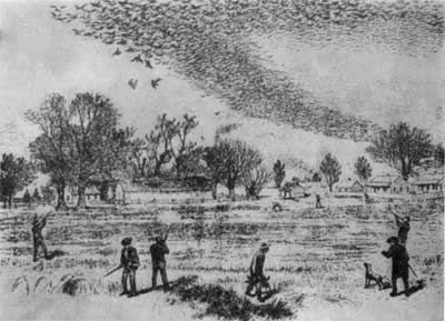 Игорь Акимушкин - Трагедия диких животных