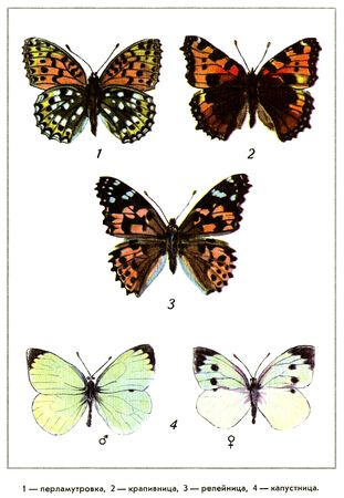 Юрий Дмитриев - Путешествие на всю жизнь