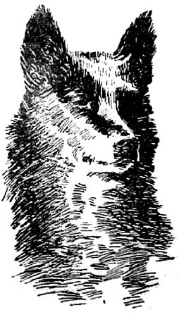 Григорий Федосеев - Таежные встречи