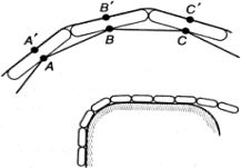 Турчин Фёдорович - Феномен науки. Кибернетический подход к эволюции