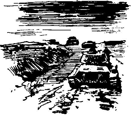 Юрий Жуков - Укрощение "тигров"