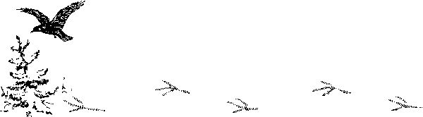 Максим Зверев - Снежная книга