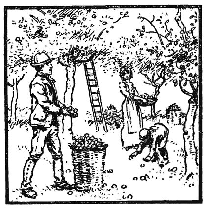 Генри Дьюдени - Кентерберийские головоломки