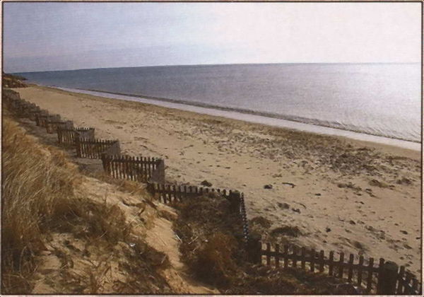 Вадим Бурлак - Неизвестный Нью-Йорк. История. Легенды. Предания