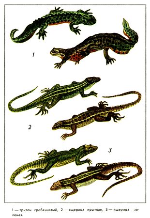 Юрий Дмитриев - Путешествие на всю жизнь