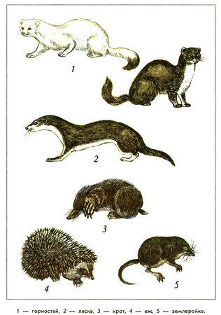 Юрий Дмитриев - Путешествие на всю жизнь