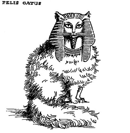 Станислав Старикович - Зверинец у крыльца