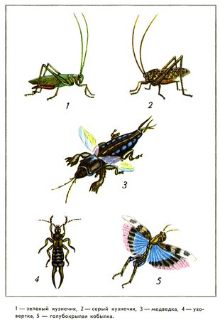 Юрий Дмитриев - Путешествие на всю жизнь