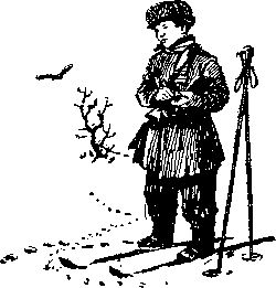 Максим Зверев - Снежная книга