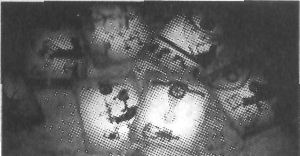 Лариса Секлитова, Людмила Стрельникова - 2012: конец света - оптимистичные...