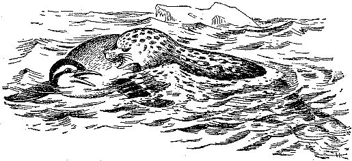 Н. Тарасов - Море живёт