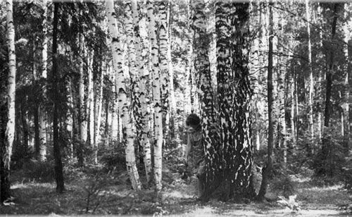 Ирина Галкина - Моя жизнь