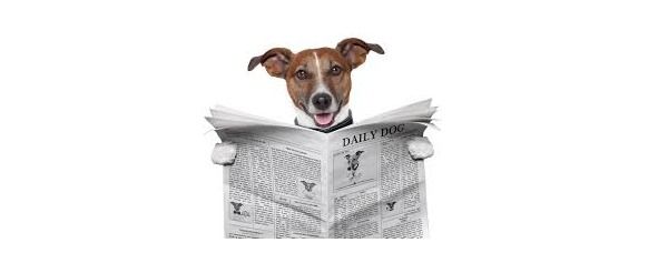 Карина Гальченко - Секреты владения английским. Пора всё расставить по своим местам!