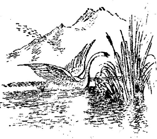 Григорий Федосеев - Таежные встречи