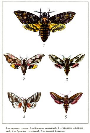 Юрий Дмитриев - Путешествие на всю жизнь