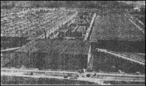 Джозеф Фаррелл - Черное солнце Третьего рейха. Битва за "оружие возмездия"