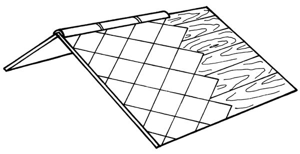 Аурика Луковкина - Архитектура и устройство крыши
