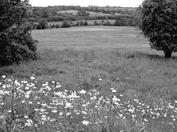 Анна Павловская - 5 O’clock и другие традиции Англии