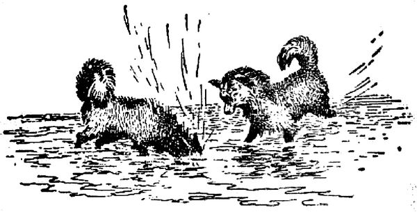 Григорий Федосеев - Таежные встречи