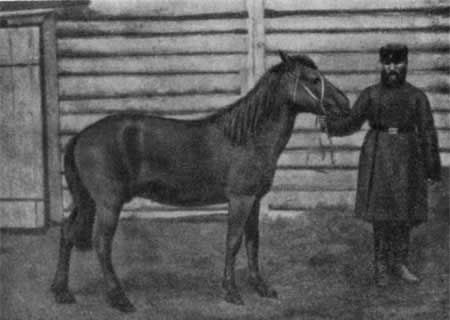 Игорь Акимушкин - Трагедия диких животных