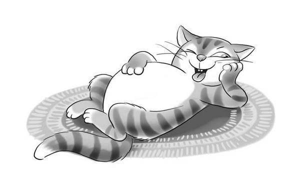 Светлана Лаврова, Ольга Колпакова - Верните новенький скелет!