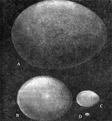 Игорь Акимушкин - Трагедия диких животных