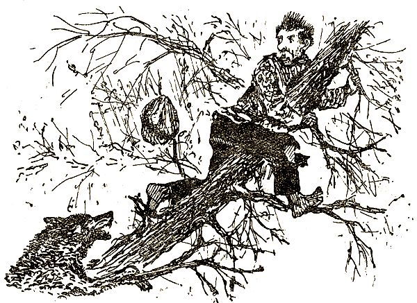 Евгений Чарушин - Охотничьи рассказы