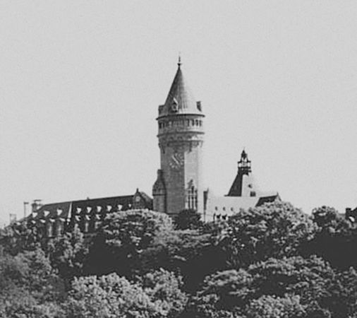 Надежда Ионина - 100 великих замков