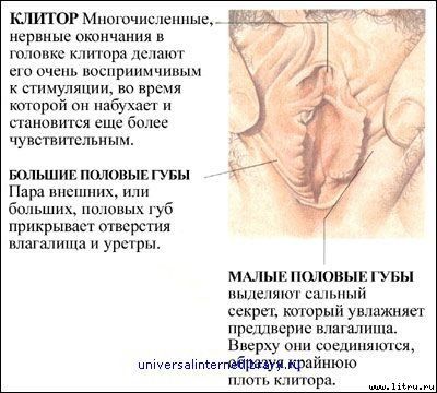 "Энциклопедия секса":...