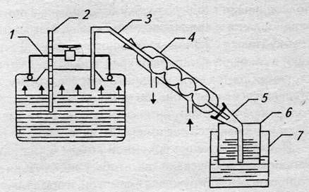 Евгения Малёнкина - Крепкие напитки