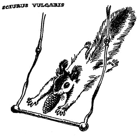 Станислав Старикович - Зверинец у крыльца