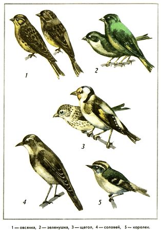 Юрий Дмитриев - Путешествие на всю жизнь