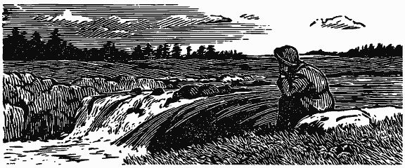 Михаил Пришвин - Том 6. Осударева дорога. Корабельная чаща