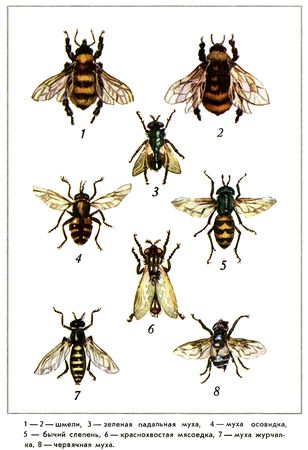 Юрий Дмитриев - Путешествие на всю жизнь