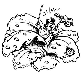 Программирование в среде Турбо Паскаль