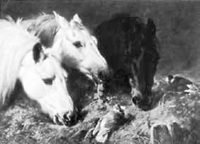 Джон Бергер - Искусство видеть