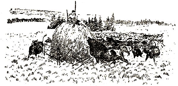 Евгений Чарушин - Охотничьи рассказы