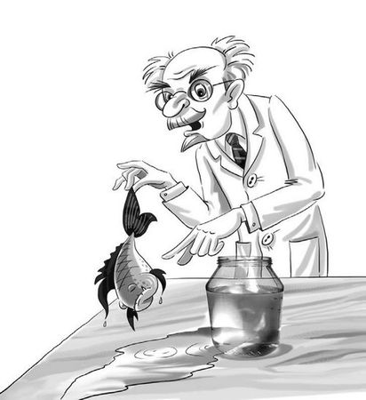 Светлана Лаврова, Ольга Колпакова - Верните новенький скелет!