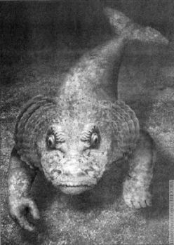 Журнал "Если" - 2009, №1