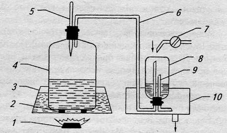 Евгения Малёнкина - Крепкие напитки