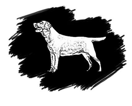 Коллектив авторов, Артем Бочаров - Прямой эфир (сборник)