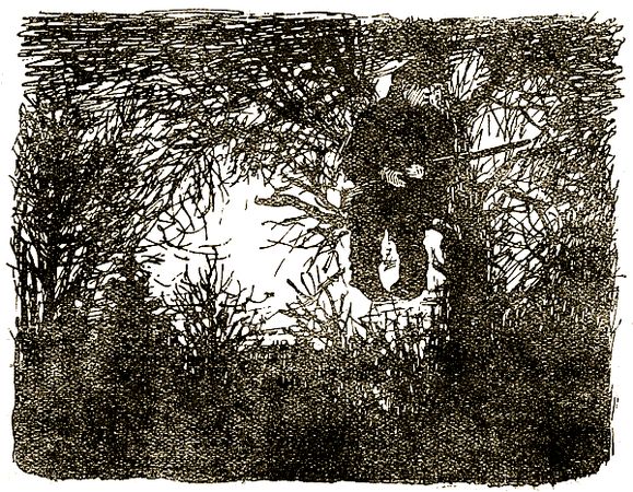 Евгений Чарушин - Охотничьи рассказы